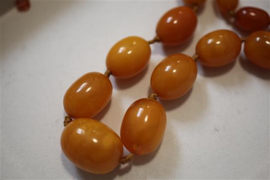 A long single strand graduated oval amber bead necklace, 70in.